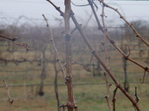 winter is over