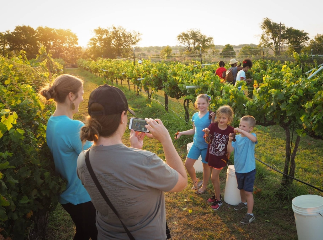 family pictures in vineyard