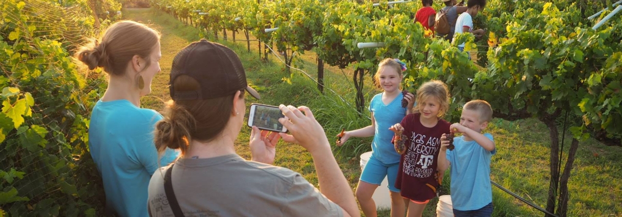 family pictures in vineyard