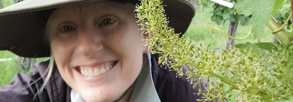 selfie of June with grape cluster blooming in vineyard