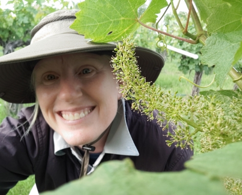 selfie of June with grape cluster blooming in vineyard